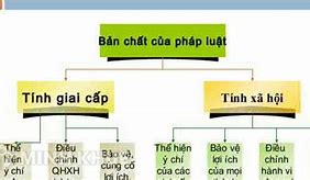 Bản Chất Giai Cấp Của Pháp Luật Thể Hiện Ở