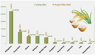 Báo Cáo Xuất Khẩu Gạo Việt Nam 2020