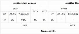 Bảo Hiểm Xã Hội Đóng Bao Nhiêu Phần Trăm Lương