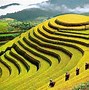 Đi Hà Giang Nên Đi Tour Hay Tự Túc