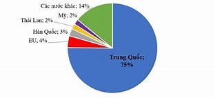 Hoa Quả Việt Nam Xuất Khẩu Sang Nhật