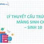 Màng Sinh Chất Tiếng Anh Là Gì