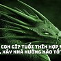 Thái Dương Thủ Mệnh Tại Thìn Là Gì Ạ Ạ ؟