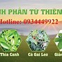 Thảo Dược Thuận Thiên Shop Ở Đâu Tphcm Bán Gì